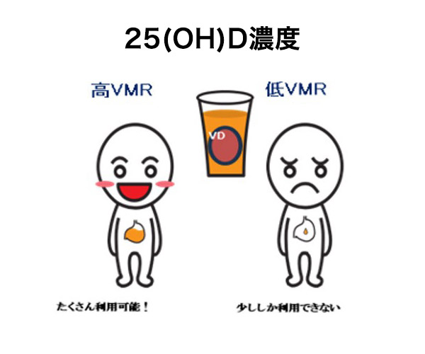VMR（维生素 D 代谢率）