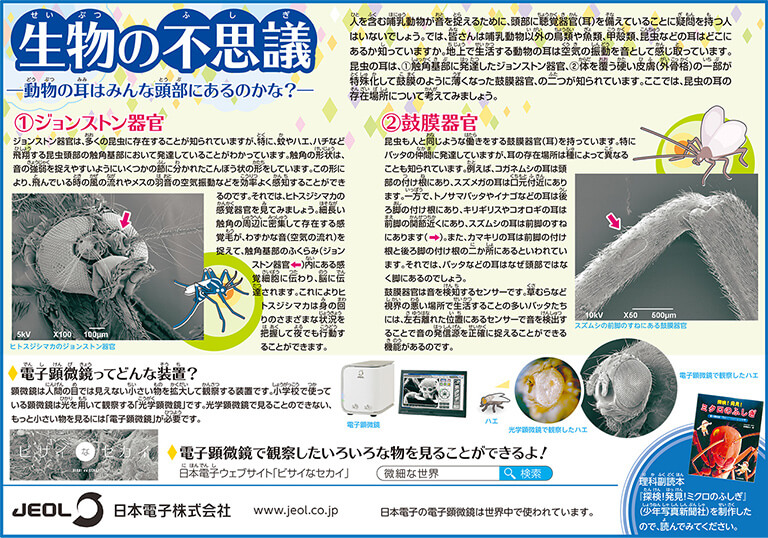 生物之谜 - 所有动物头上都有耳朵吗？ -