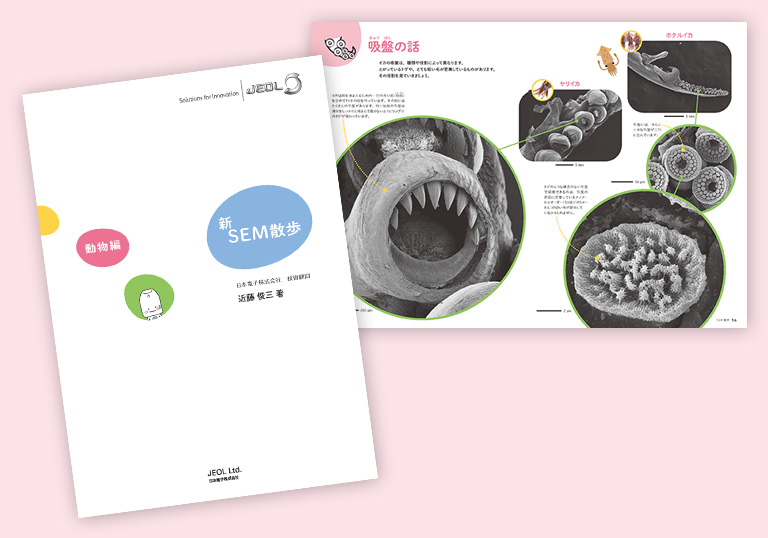 电子显微镜观察 - 酵母菌的惊人能力 -