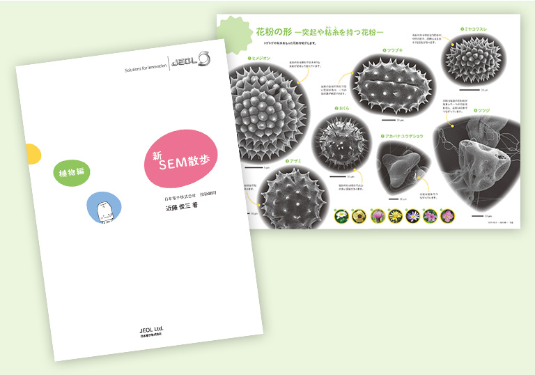 电子显微镜观察 - 酵母菌的惊人能力 -