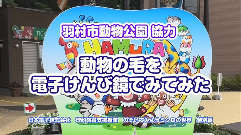 我用电子镜观察动物毛发