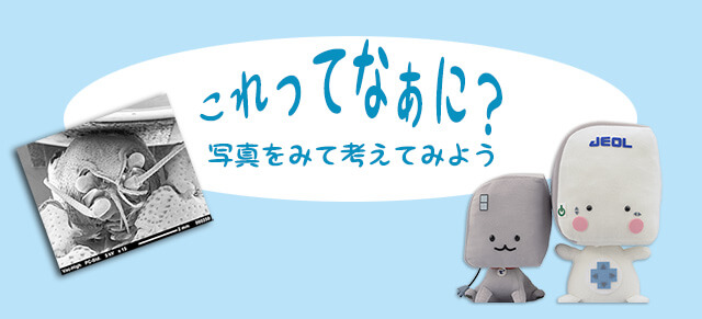 科学测验这是什么？