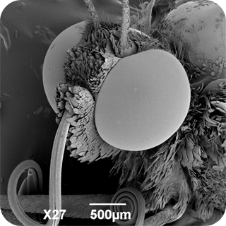 问题 1 提示图片