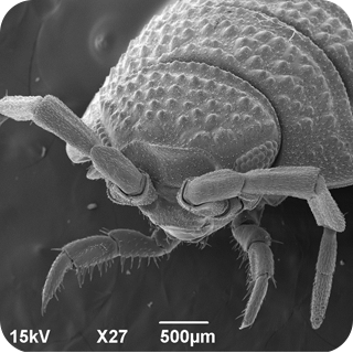 第二个问题提示图片