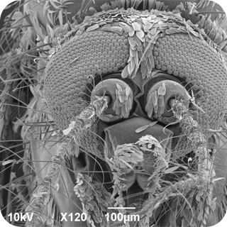 第三个问题提示图片