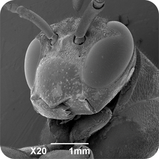 问题 4 提示图片