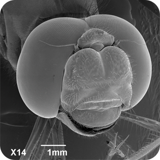 第五个问题提示图