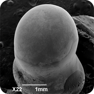 第六个问题提示图片