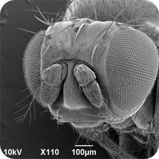 问题 7 提示图片