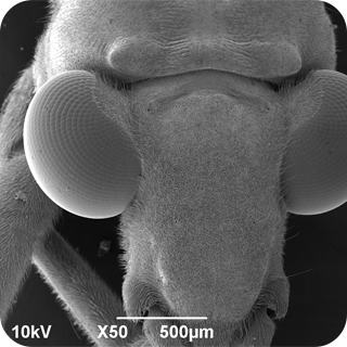 第八个问题提示图片