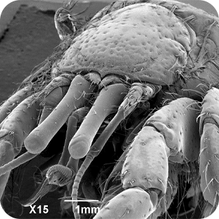 第九个问题提示图片