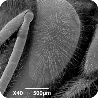 问题 10 提示图片