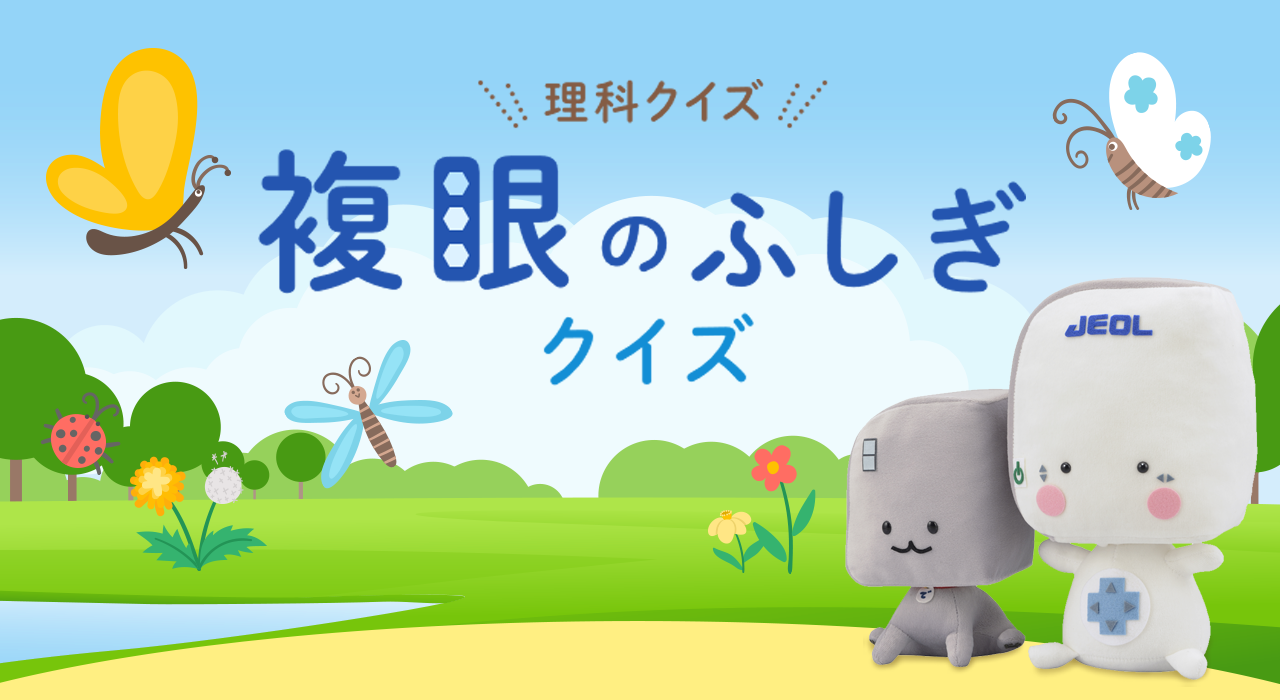 科学测验复眼之谜测验