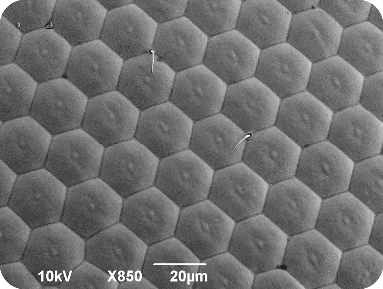 第一个问题问题图片