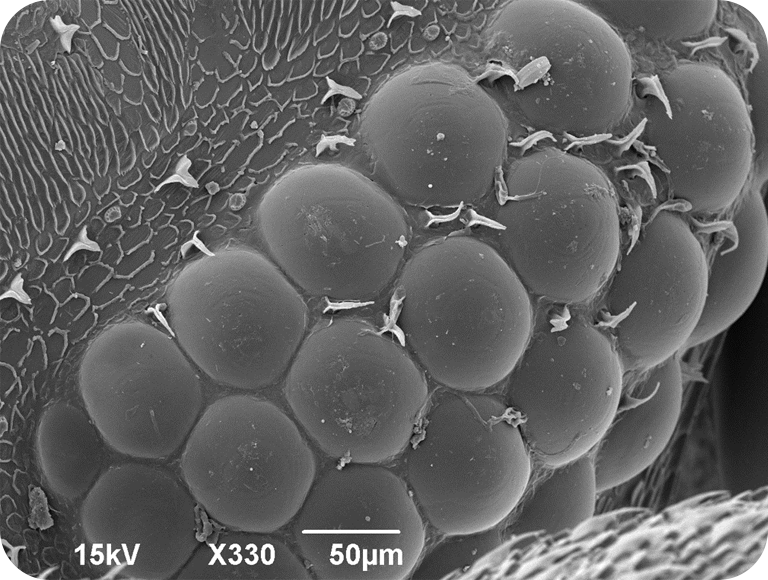 第二个问题问题图片