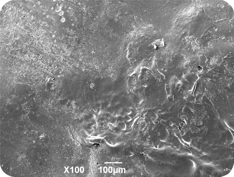 没有这个我就无法开始