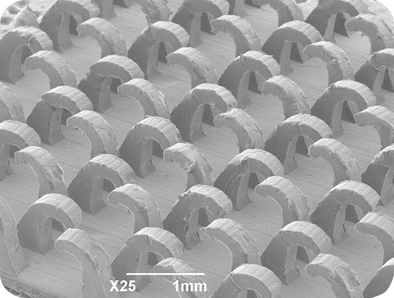 仅限有限玩家使用