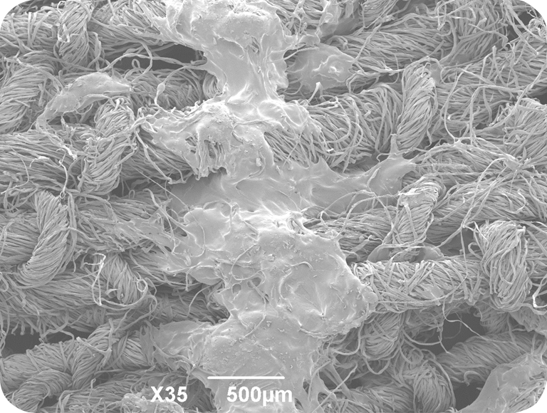 你照顾所有的玩家吗？