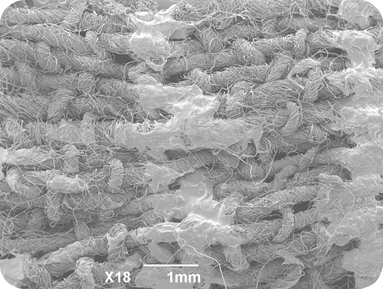 支持运动员表现的非常重要的事情
