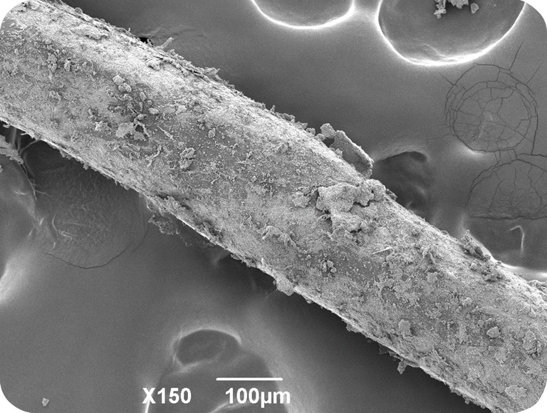 呜呜呜呜呜呜！ ！ ！