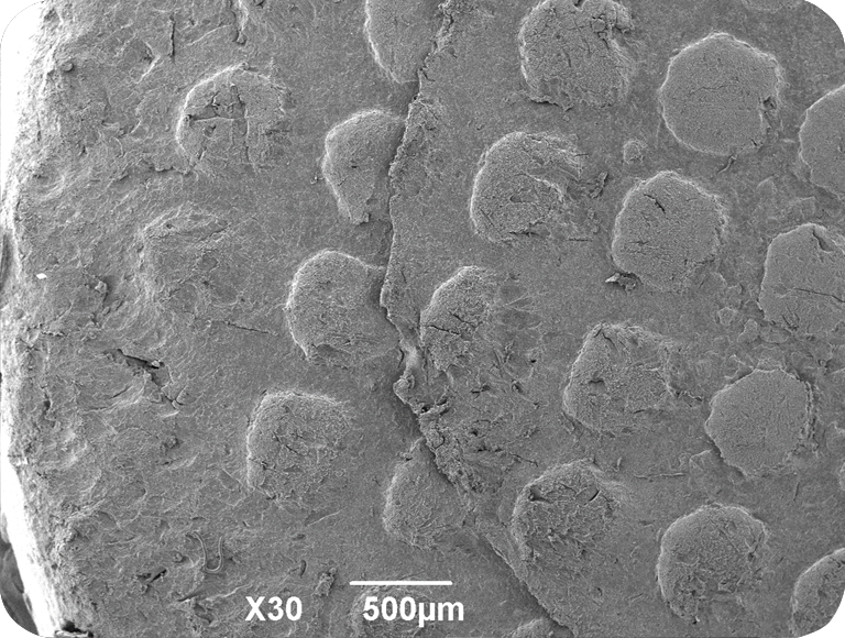 显示玩家的个性