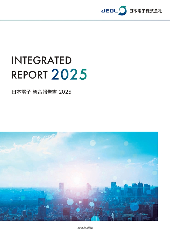 截至 2025 年 3 月的财政年度的 2025 年综合报告
