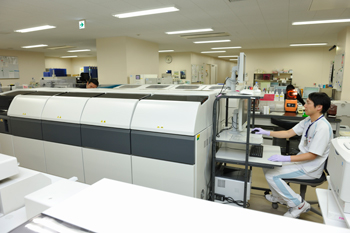 BioMajesty(TM) 使用示例 1