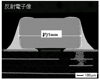 图2-1 CP电子元件横截面（示例：手机电子元件）