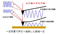 图 10 AC 模式 AFM