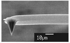 图 4 探头和悬臂