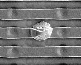 图 1a 舞台水平图像