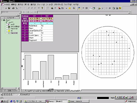 图 2b 自动缺陷分类 (ADC) 输出示例