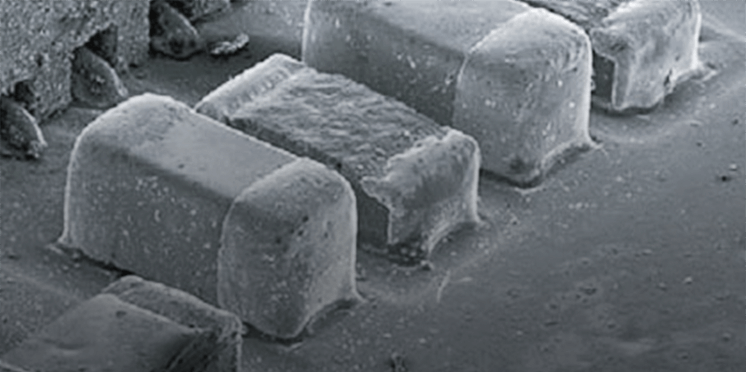 扫描电子显微镜