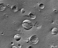 咖啡奶油冷冻断裂法（TEM 图像）