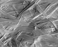 肥皂冷冻断裂法（TEM 图像）