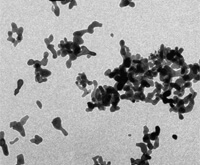 油墨提取复制法（TEM 图像）