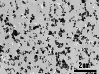 颜料提取复制法（TEM 图像）