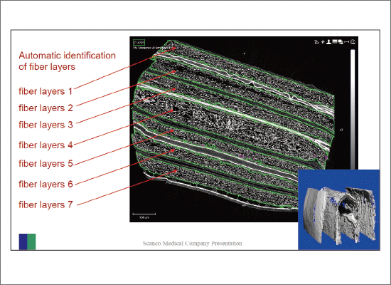 牛奶盒内的接触状态（3D 分析）
