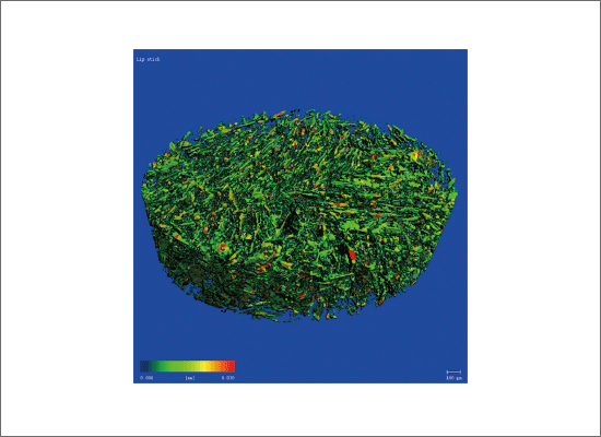 口红内部闪光材料宽度分布的3D分析（30μm或以上以红色显示）
