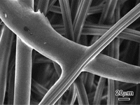 扫描电子显微图像