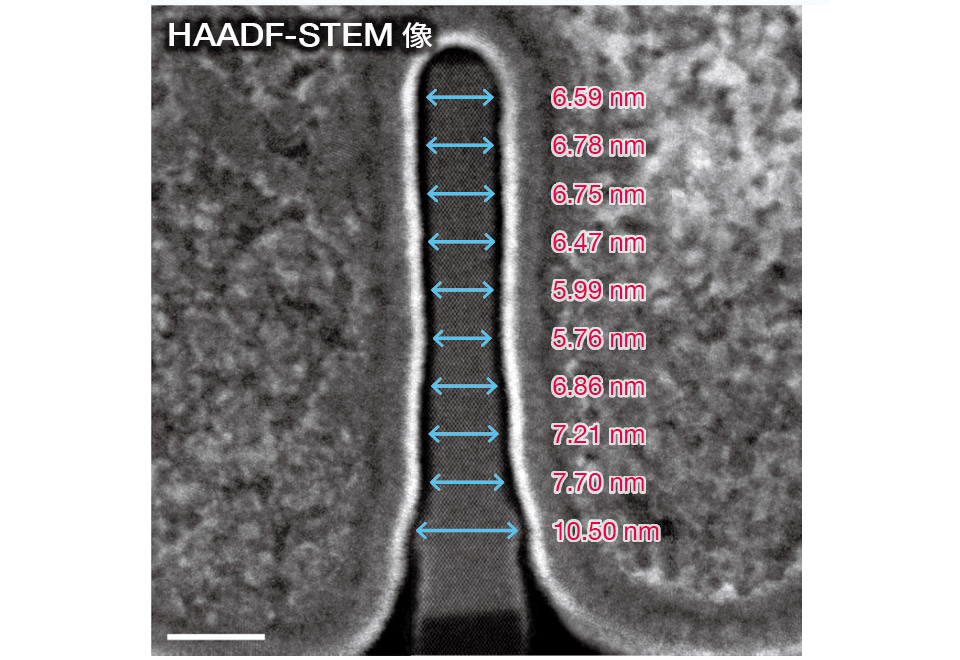 HAADF-STEM 图像