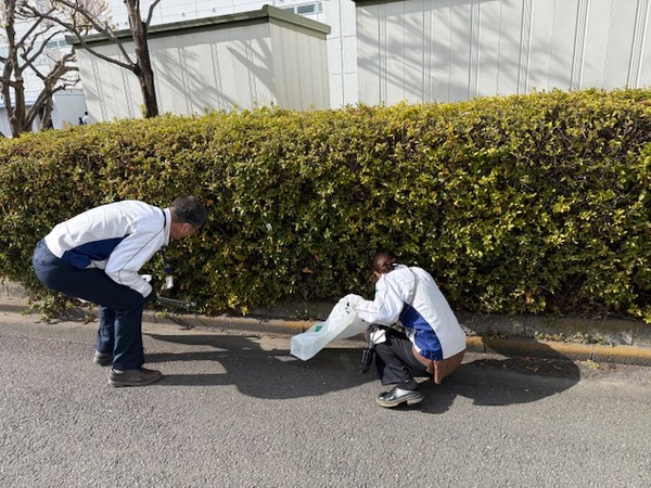 不要扔掉 JEOL 营销活动