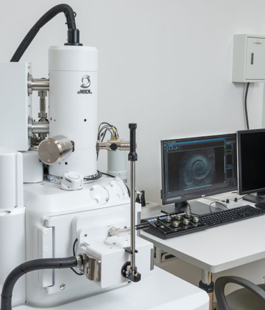 福井县立恐龙博物馆