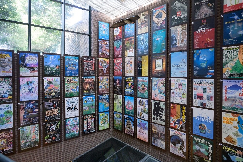 博物馆公园茨城县立自然博物馆