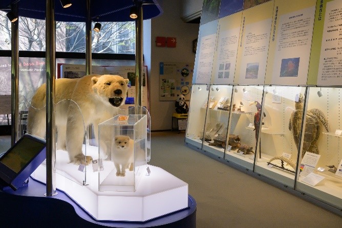 博物馆公园茨城县立自然博物馆