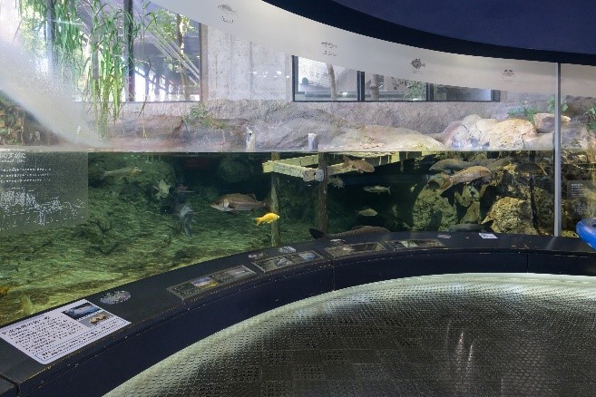 博物馆公园茨城县立自然博物馆