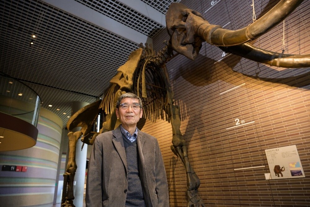 博物馆公园茨城县立自然博物馆