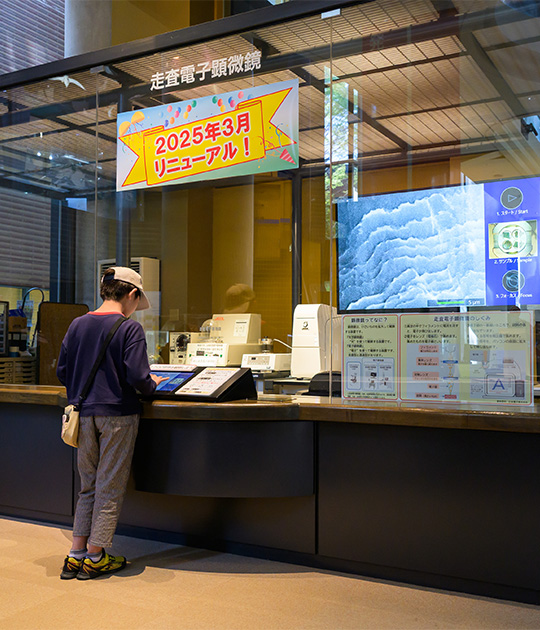 博物馆公园茨城县立自然博物馆