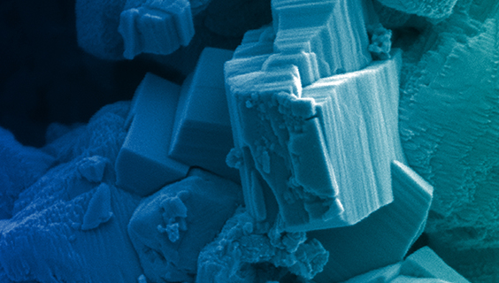 分钟世界（电子显微镜图像集）