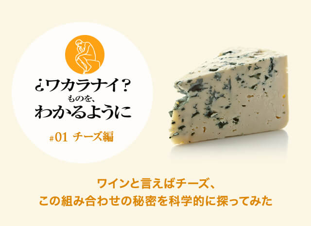 让我们让事情变得更容易理解#01 奶酪版